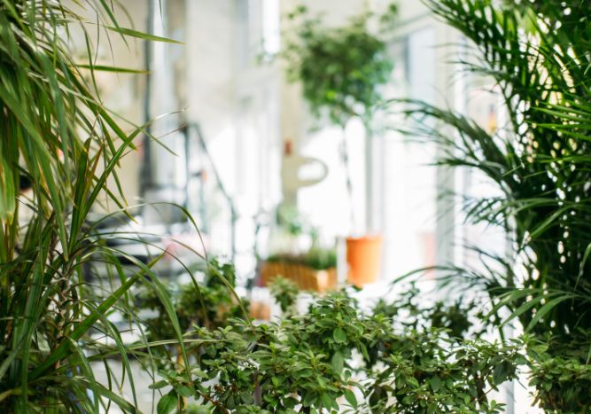 Bring The Great Outdoors To You With Biophilic Design