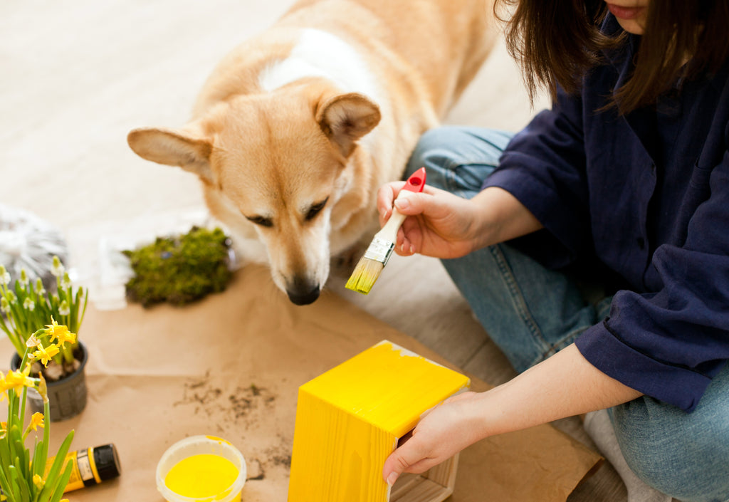 The Beginners Guide To Upcycling Furniture