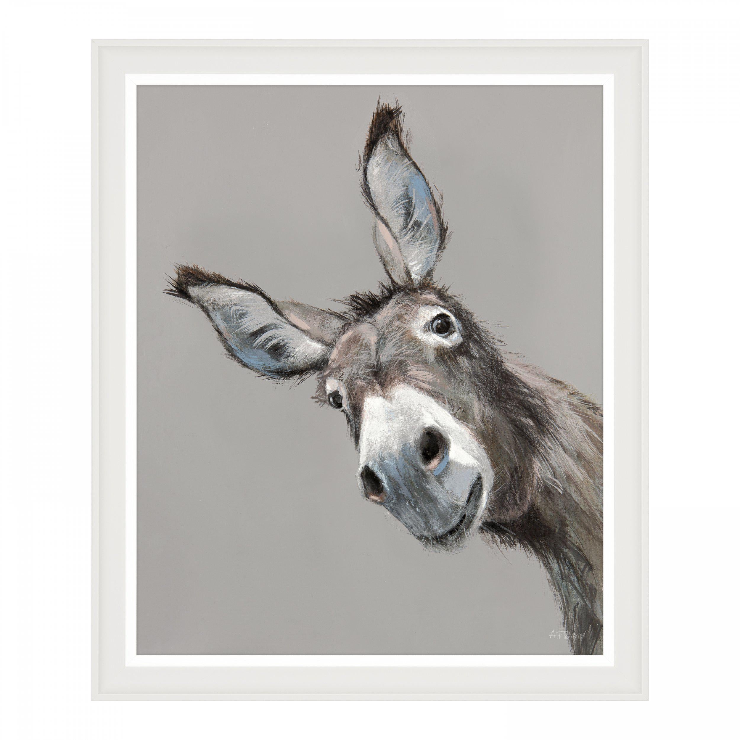 Reggie Framed Print by Adelene Fletcher