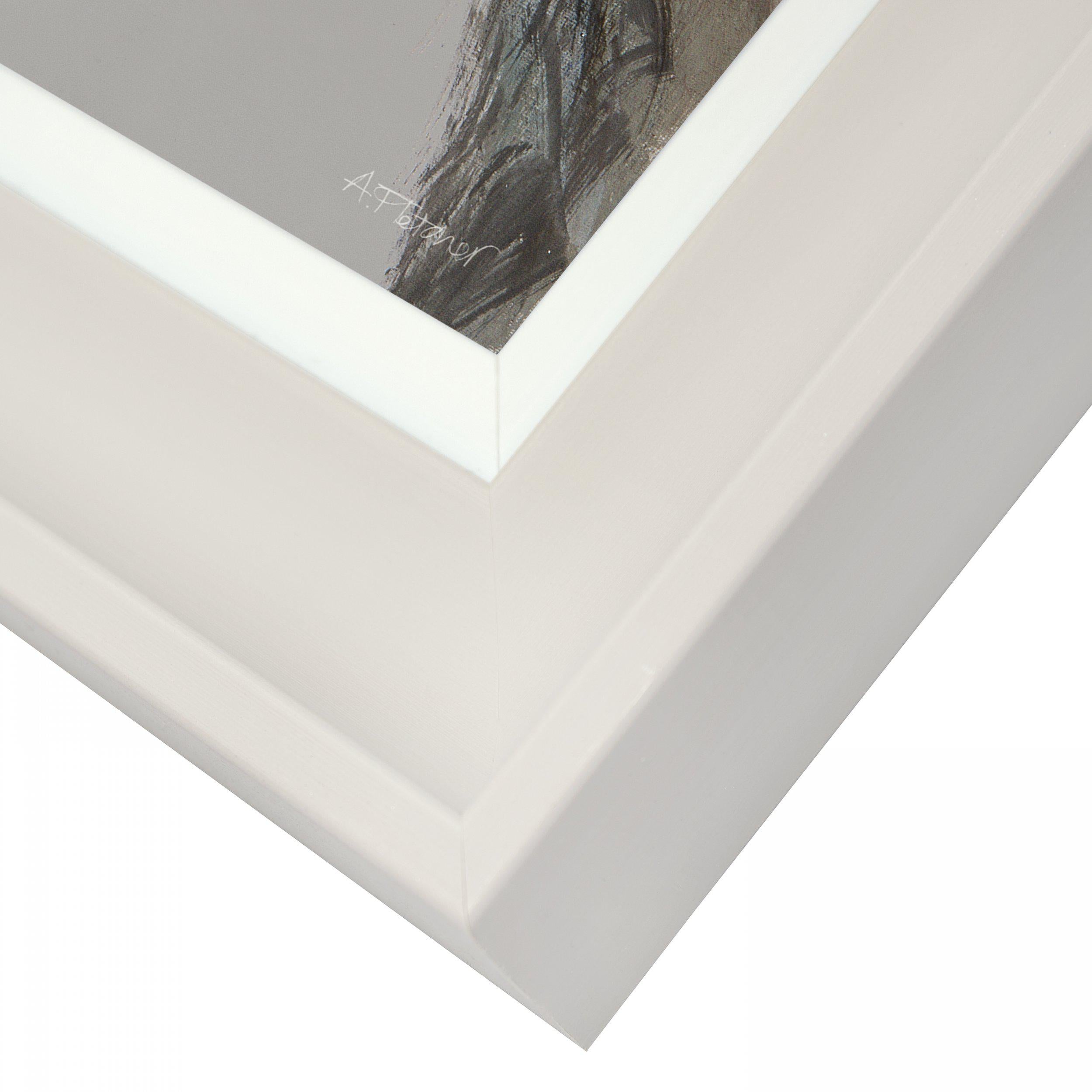 Reggie Framed Print by Adelene Fletcher