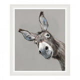 Reggie Framed Print by Adelene Fletcher