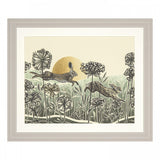 Light of Day Framed Print by Charlotte Oakley