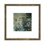 Clarity Framed Print by Sabrina Roscino