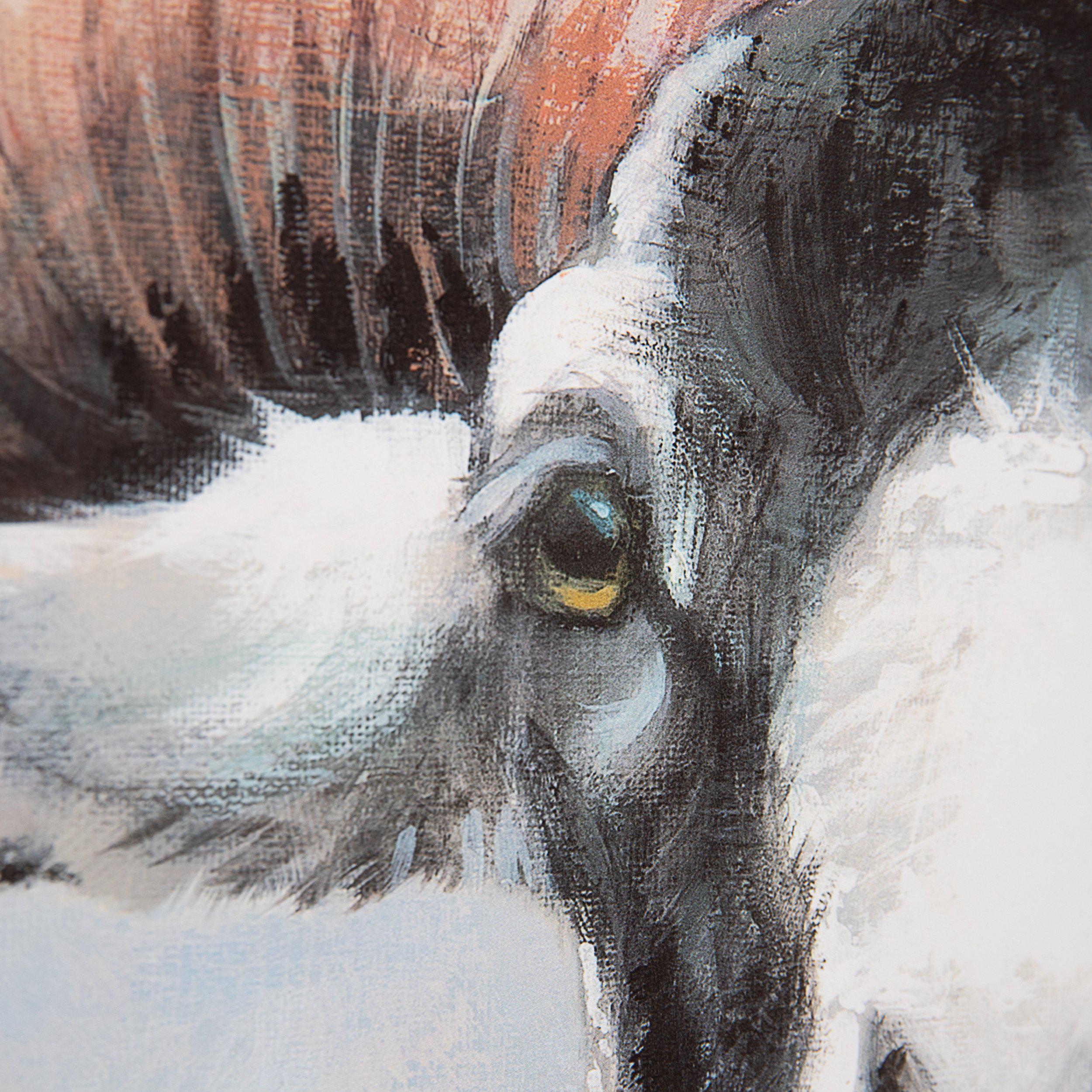 Ralph Framed Print by Adelene Fletcher