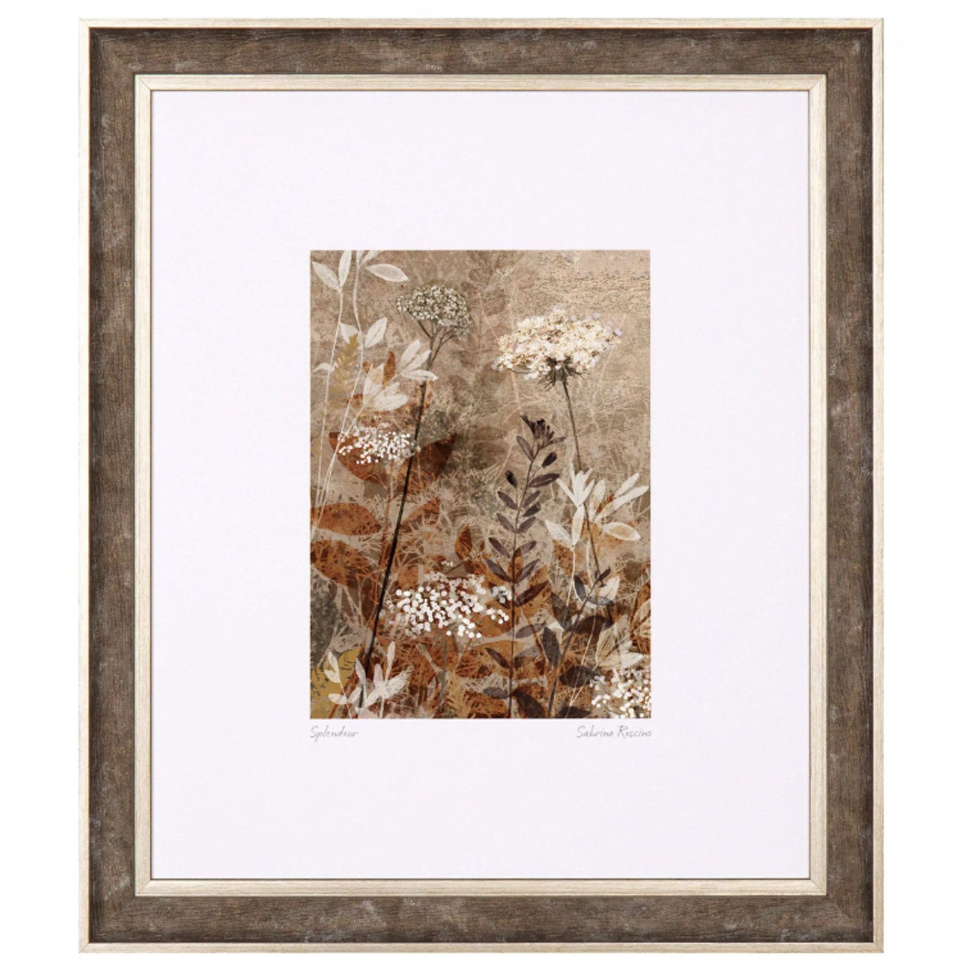 Splendour Framed Art by Sabrina Roscino