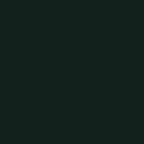 Little Greene - 216 - Obsidian Green