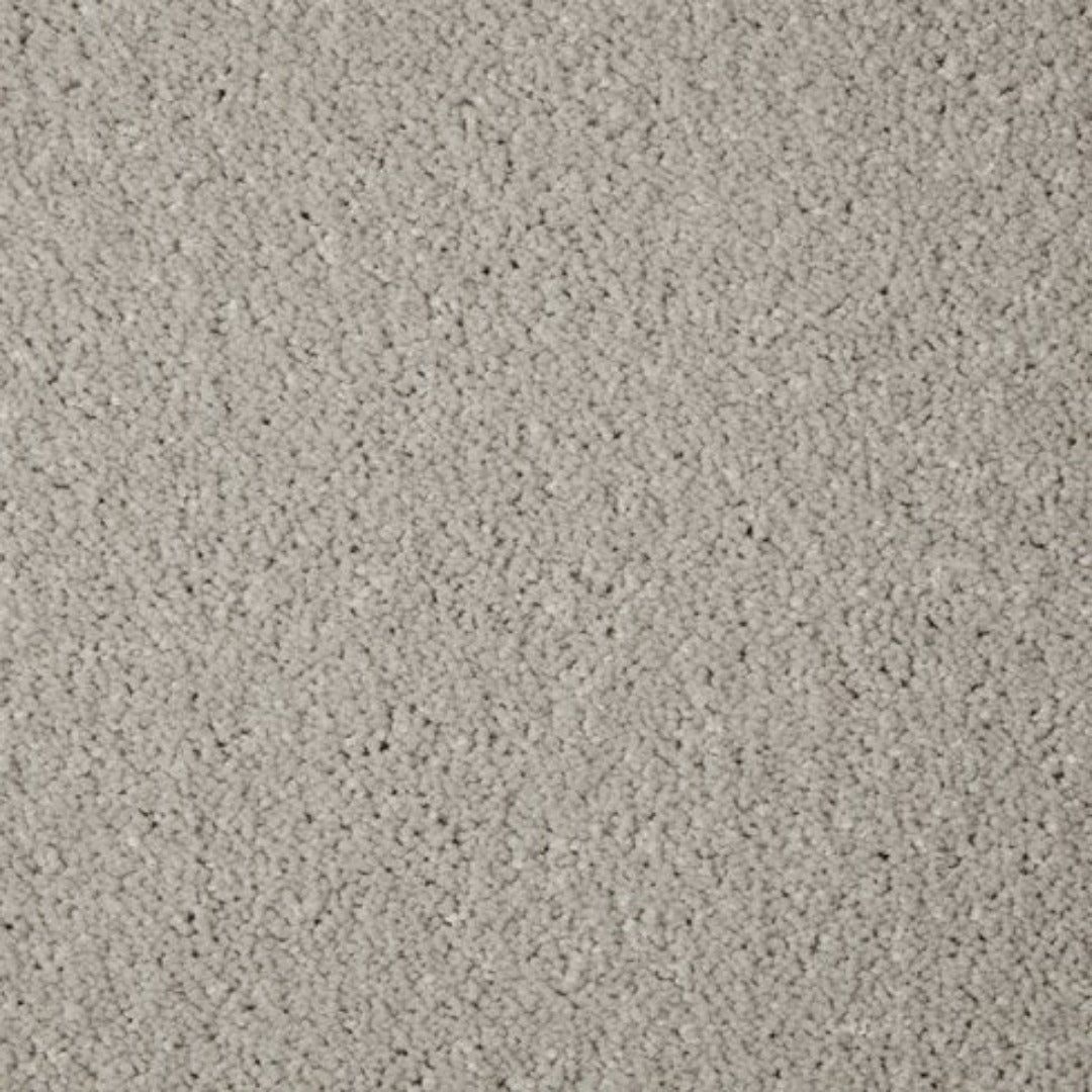 Cormar Carpets Primo Grande Range | Taylors on the High Street