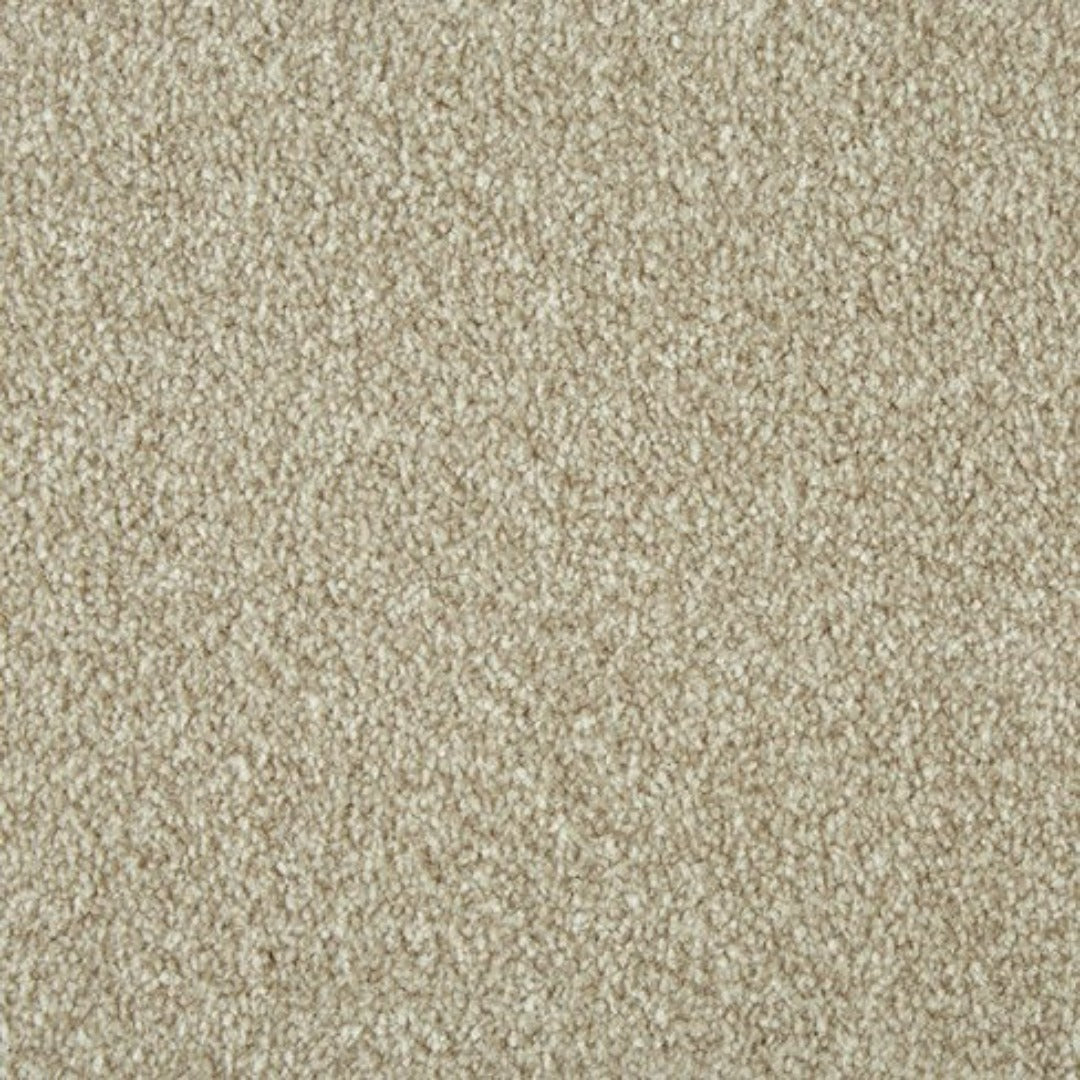 Cormar Carpets Primo Ultra Range | Taylors on the High Street