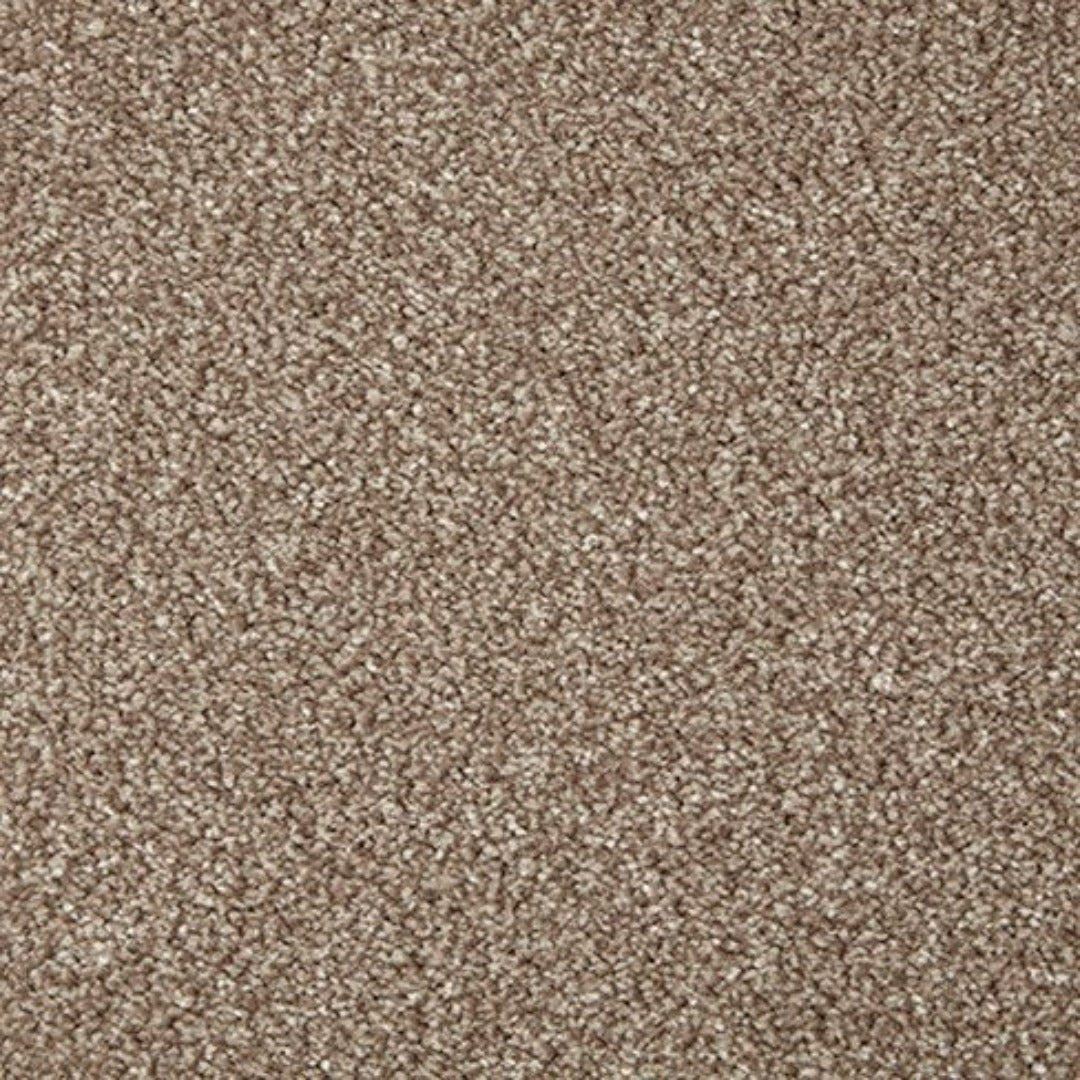 Cormar Carpets Primo Grande Range | Taylors on the High Street