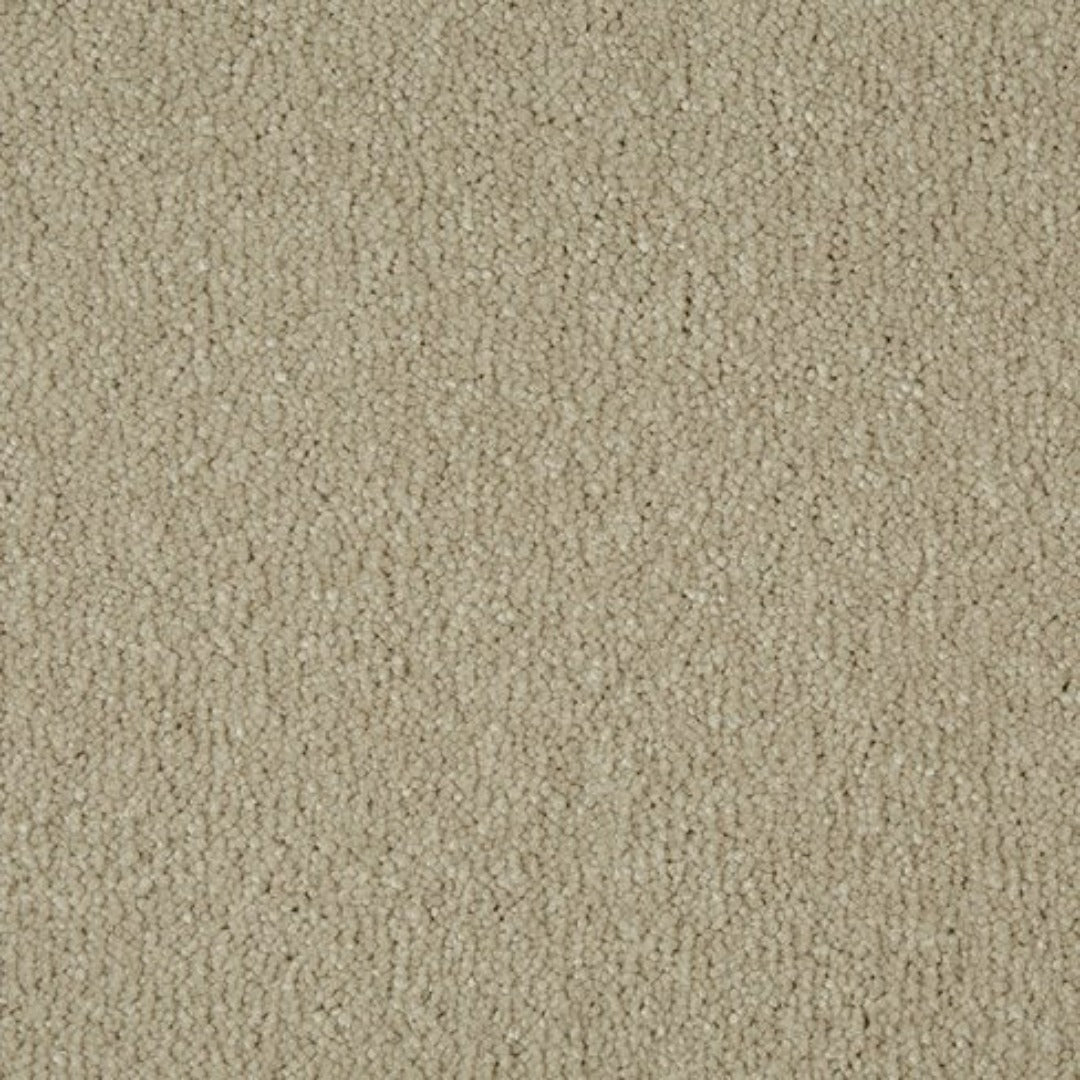 Cormar Carpets Sensation Range | Taylors on the High Street