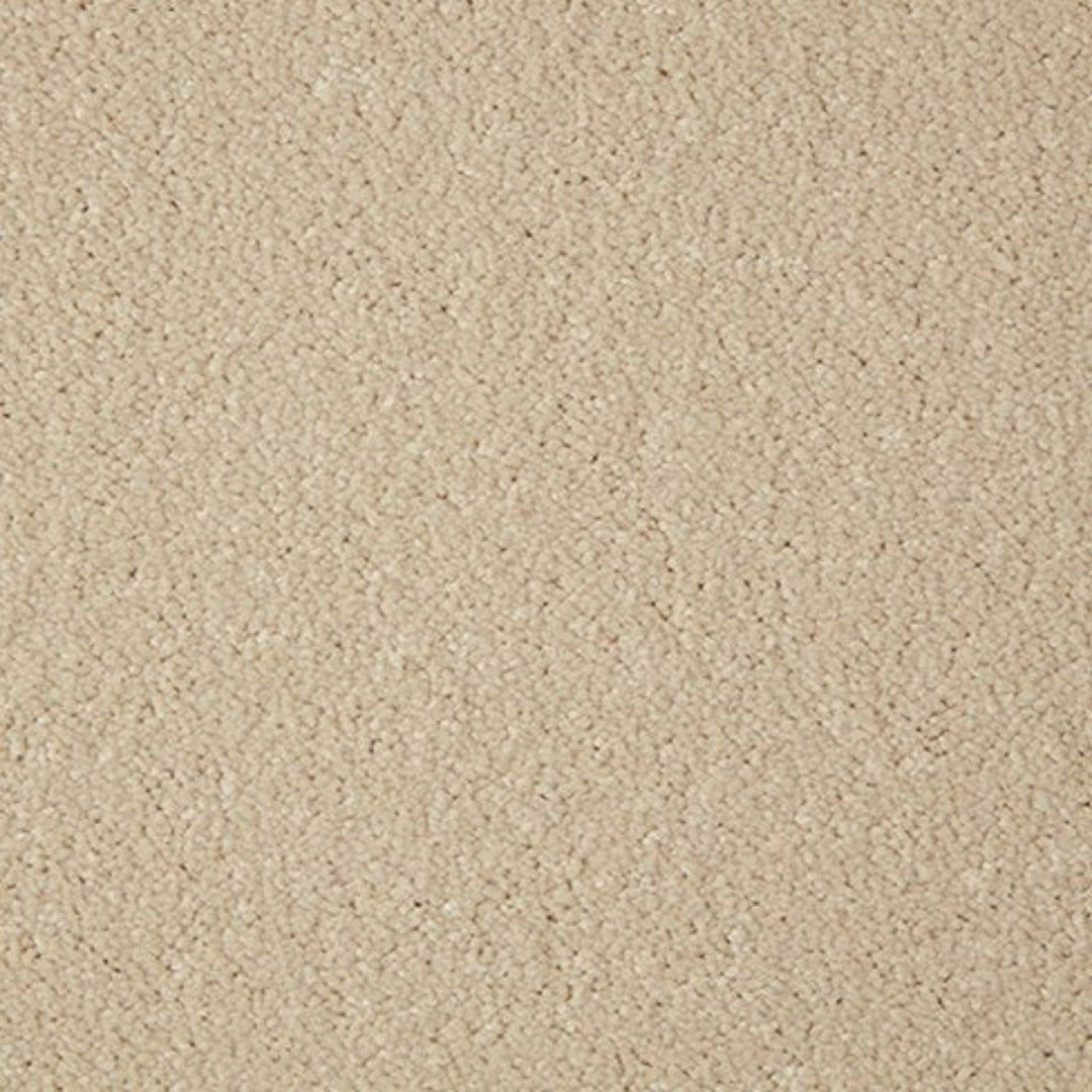 Cormar Carpets Primo Grande Range | Taylors on the High Street