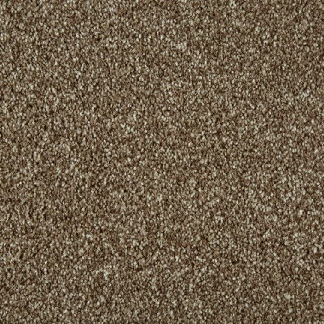 Cormar Carpets Primo Ultra Range | Taylors on the High Street