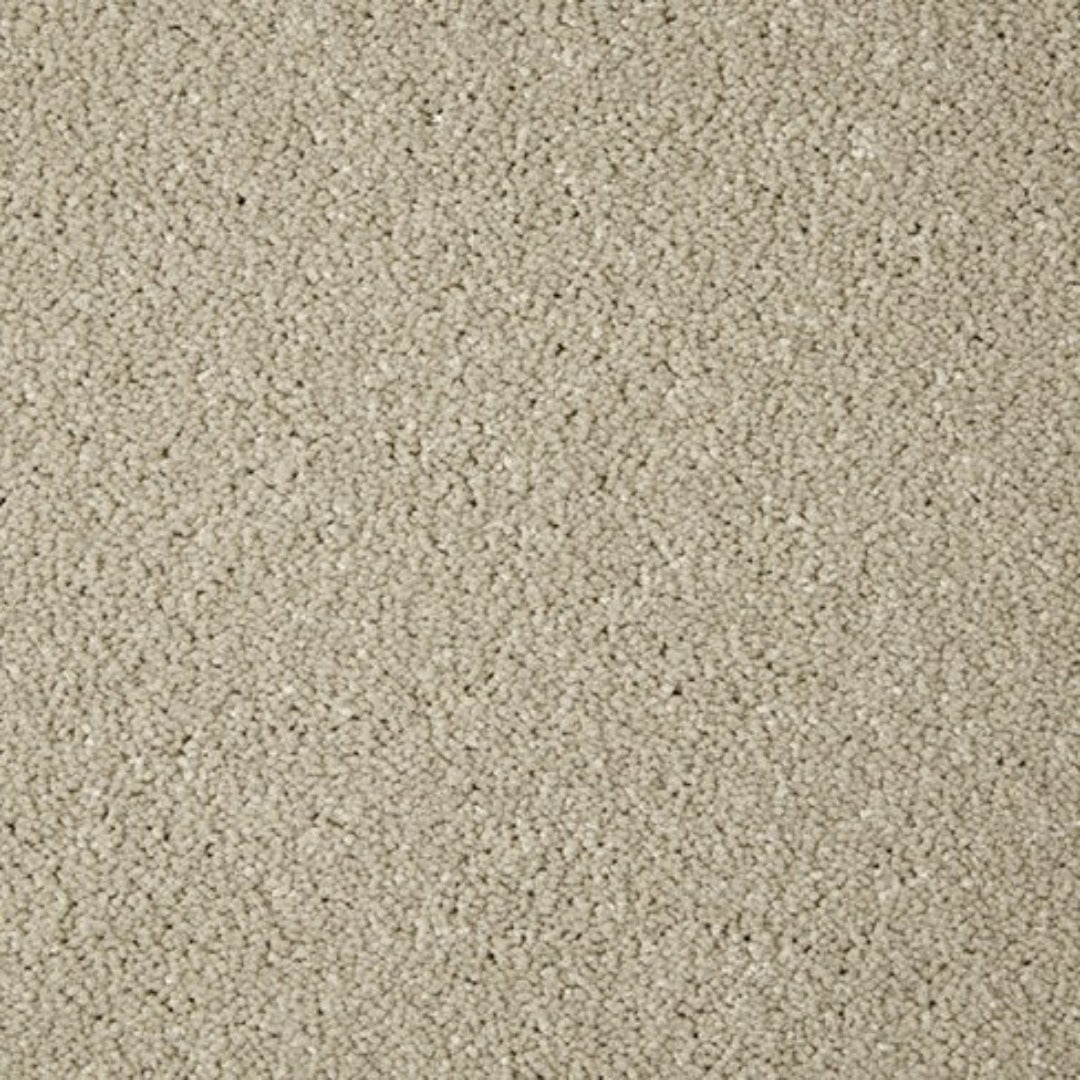 Cormar Carpets Primo Grande Range | Taylors on the High Street
