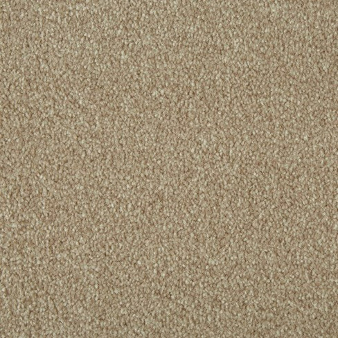 Cormar Carpets Primo Ultra Range | Taylors on the High Street