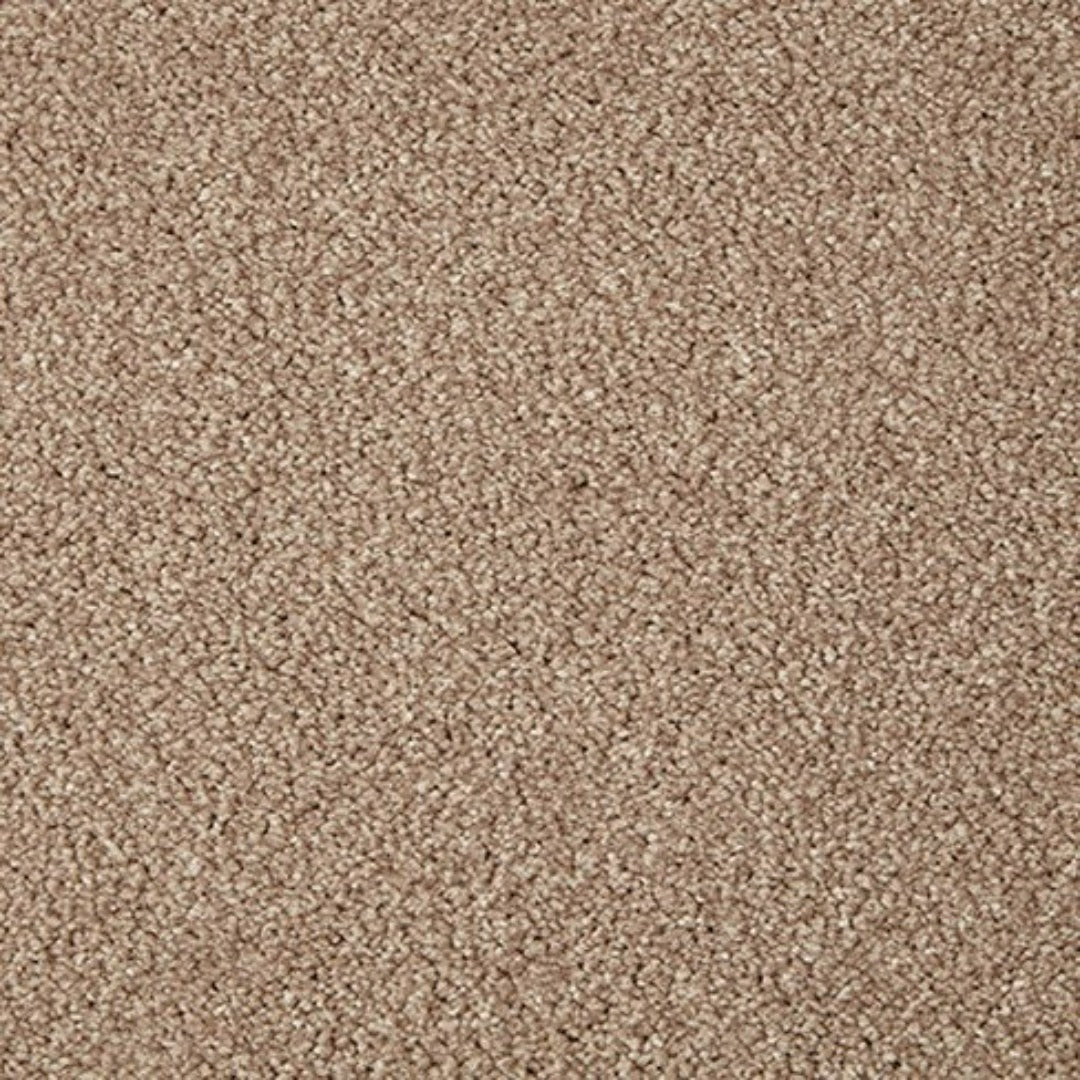 Cormar Carpets Primo Grande Range | Taylors on the High Street