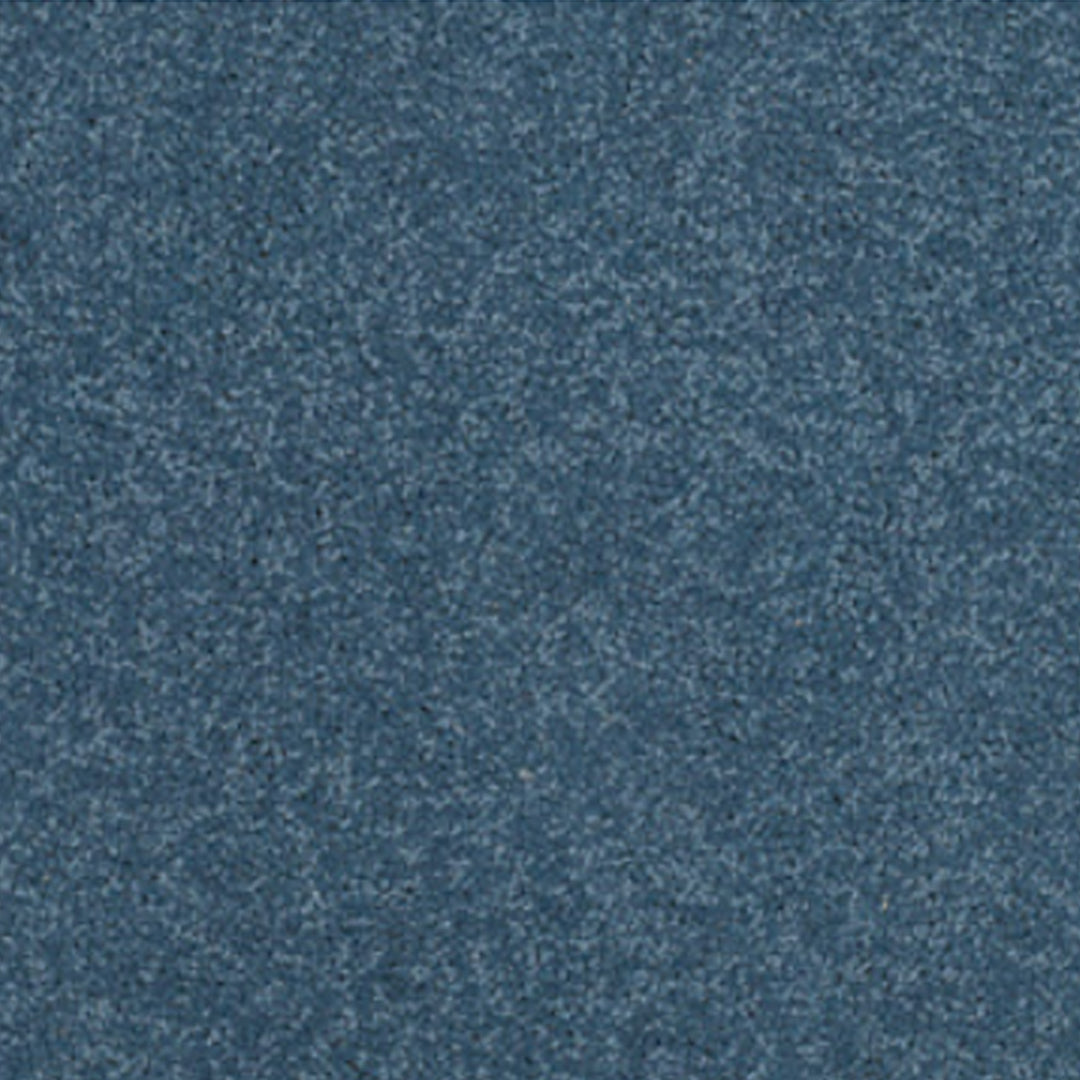 Adam Carpets Castlemead Twist Range | Taylors on the High Street
