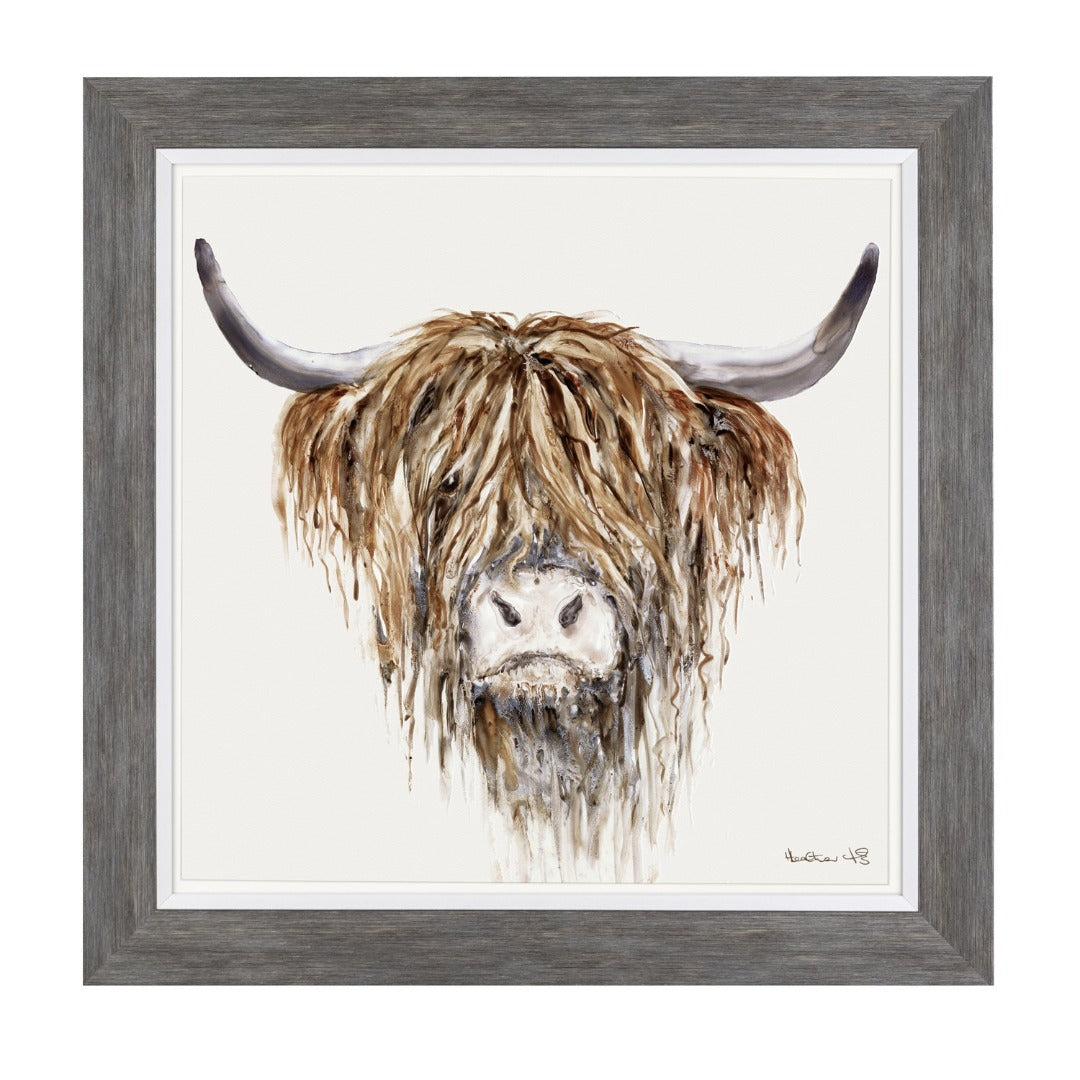 Freddie by Heather Fitz | Taylors on the High Street