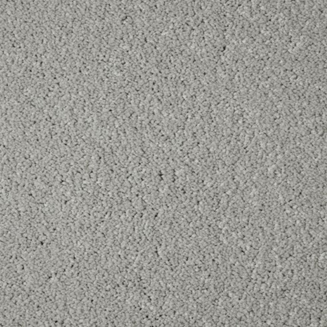 Cormar Carpets Primo Grande Range | Taylors on the High Street