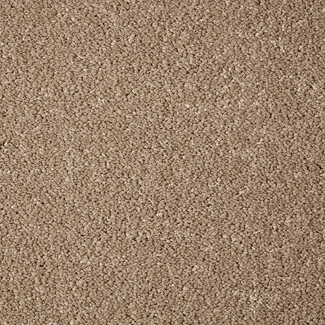 Cormar Carpets Primo Grande Range | Taylors on the High Street