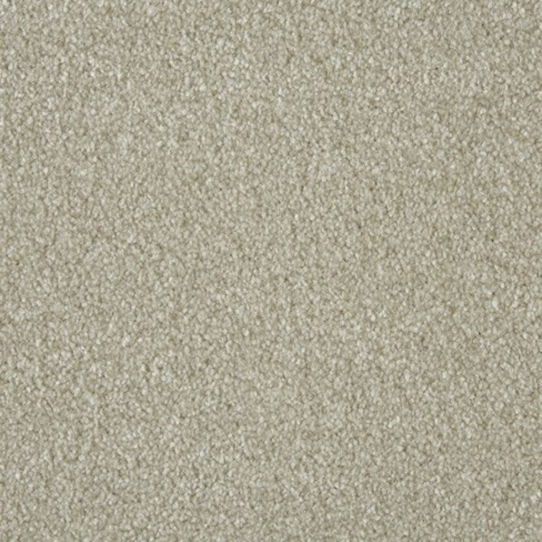 Cormar Carpets Primo Ultra Range | Taylors on the High Street