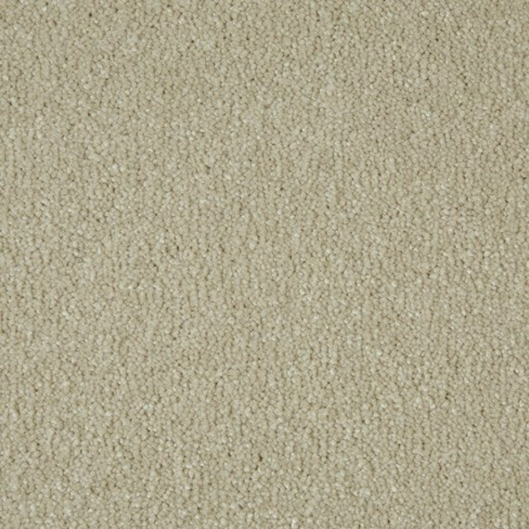 Cormar Carpets Sensation Range | Taylors on the High Street