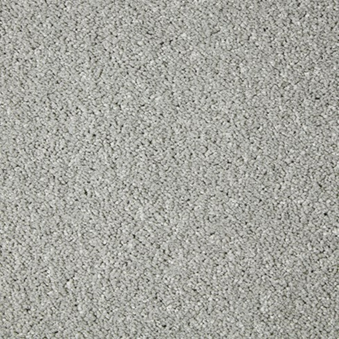 Cormar Carpets Primo Grande Range | Taylors on the High Street