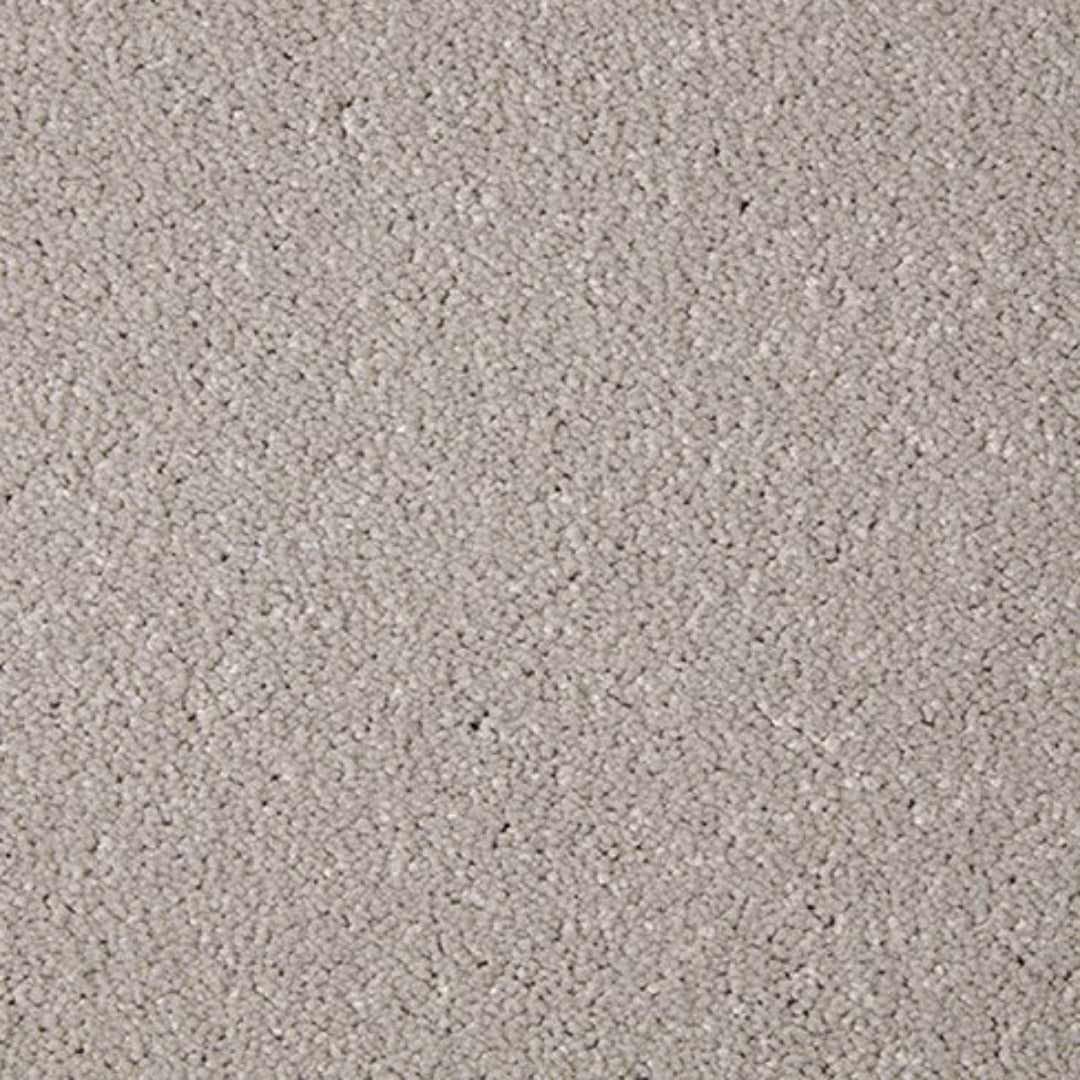 Cormar Carpets Primo Grande Range | Taylors on the High Street