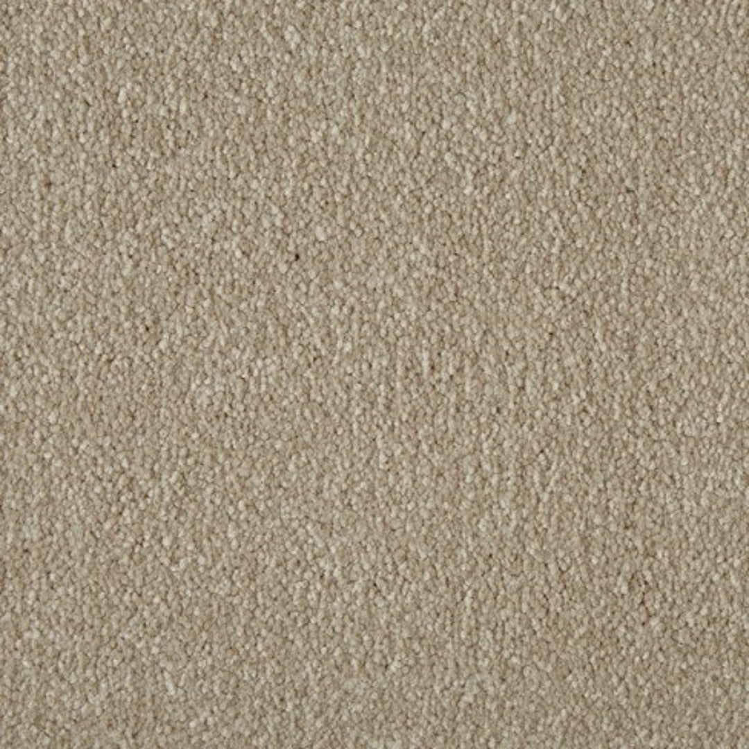 Cormar Carpets Primo Ultra Range | Taylors on the High Street