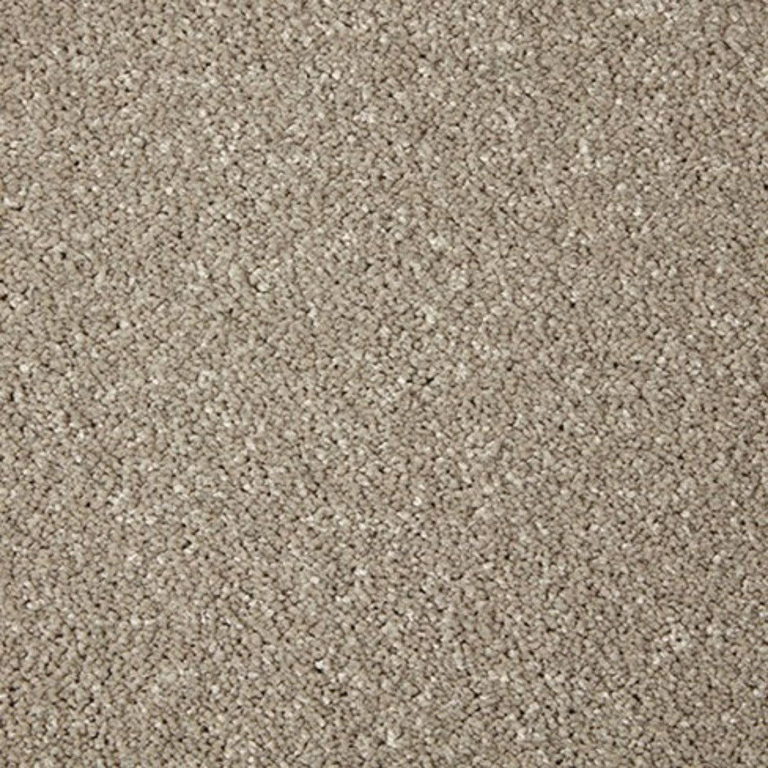 Cormar Carpets Primo Grande Range | Taylors on the High Street