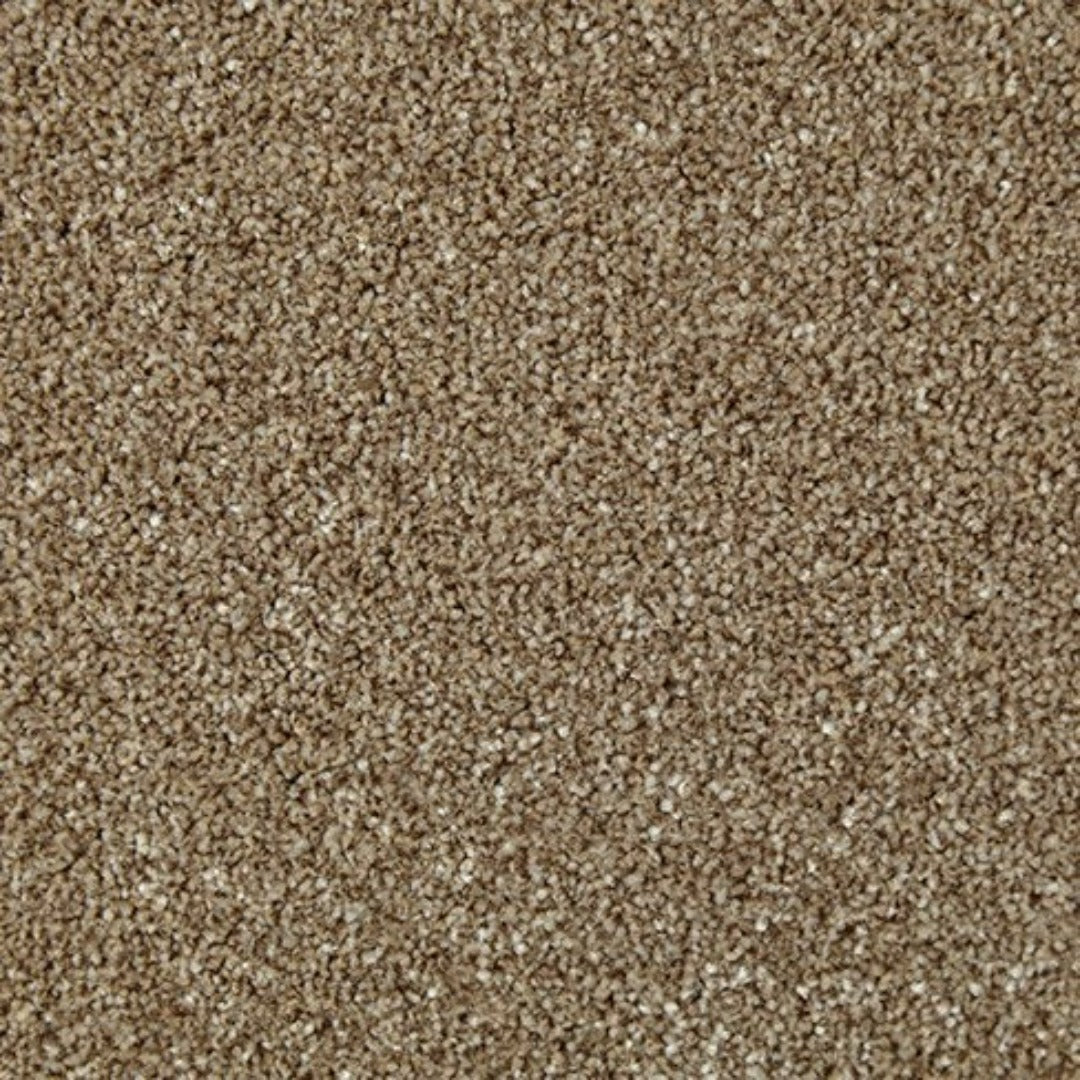 Cormar Carpets Primo Naturals Range | Taylors on the High Street