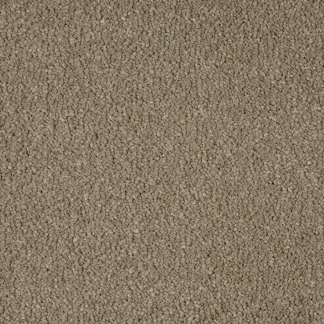 Cormar Carpets Sensation Range | Taylors on the High Street