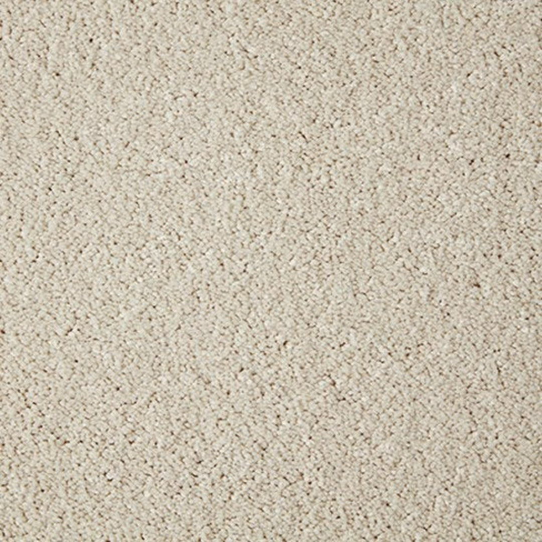Cormar Carpets Primo Grande Range | Taylors on the High Street