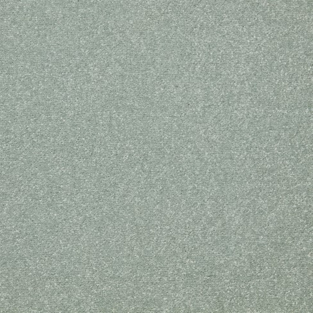 Cormar Carpets Primo Ultra Range | Taylors on the High Street