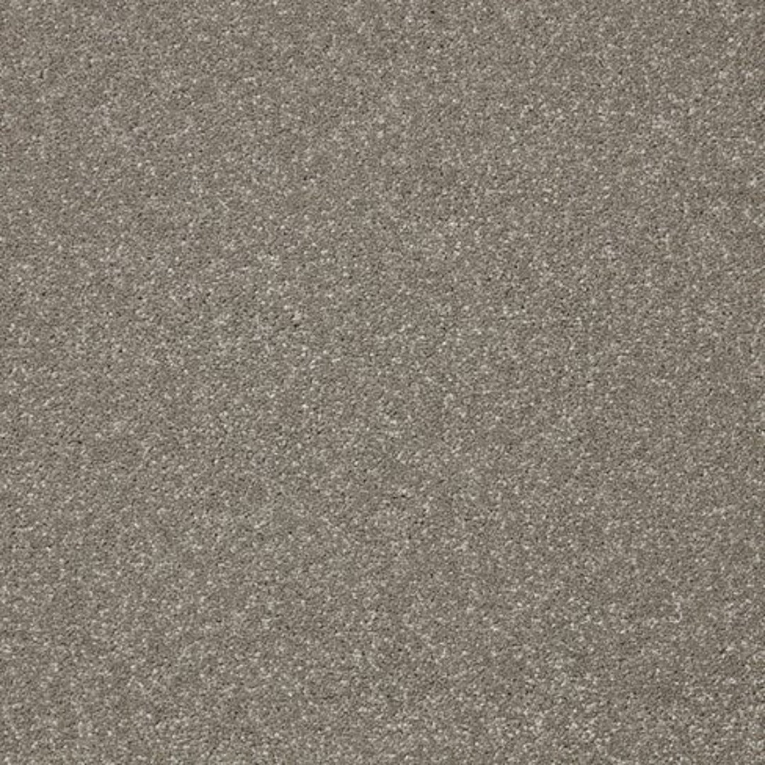 Cormar Carpets Primo Ultra Range | Taylors on the High Street