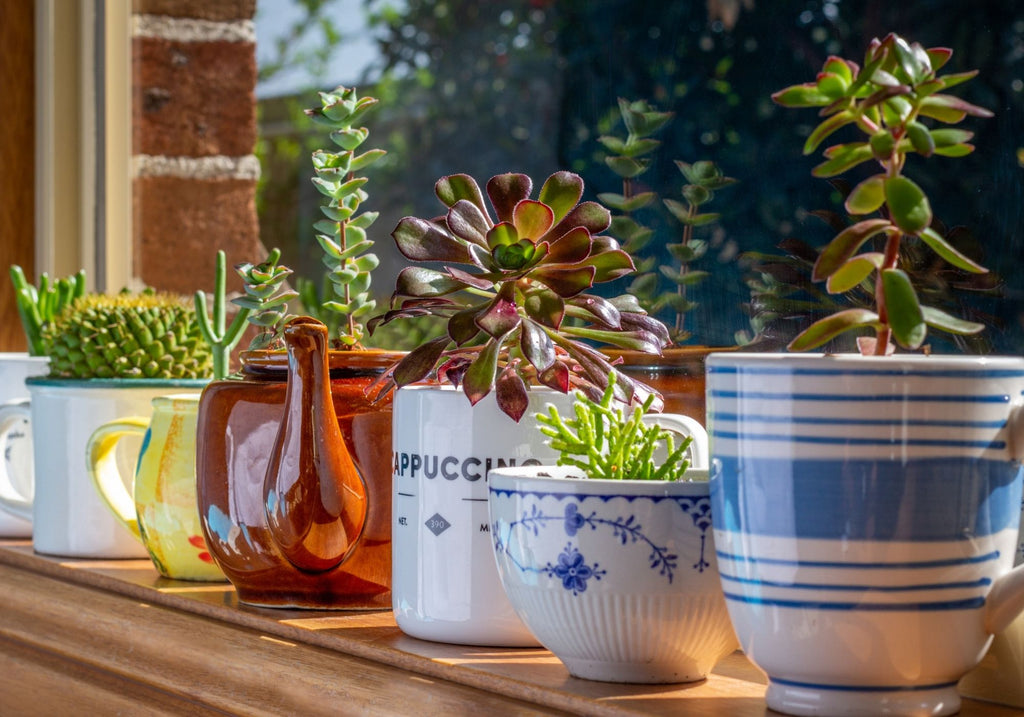 10 Easy Upcycling Projects You Can Do At Home This Summer