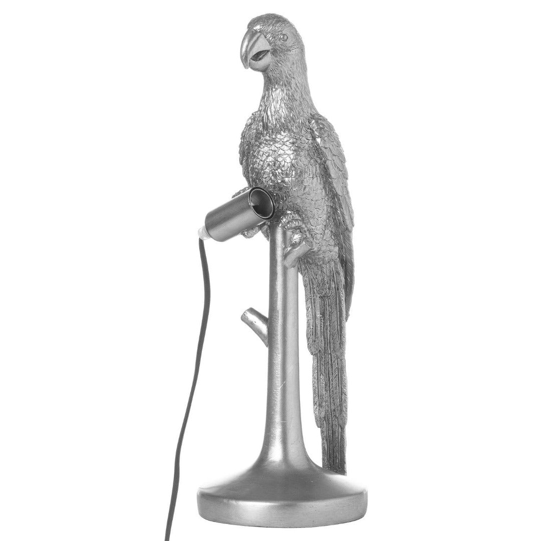 Percy The Parrot Silver Table Lamp | Taylors on the High Street