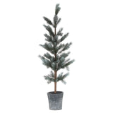 Christmas Fir Tree in Stone Pot | Taylors on the High Street