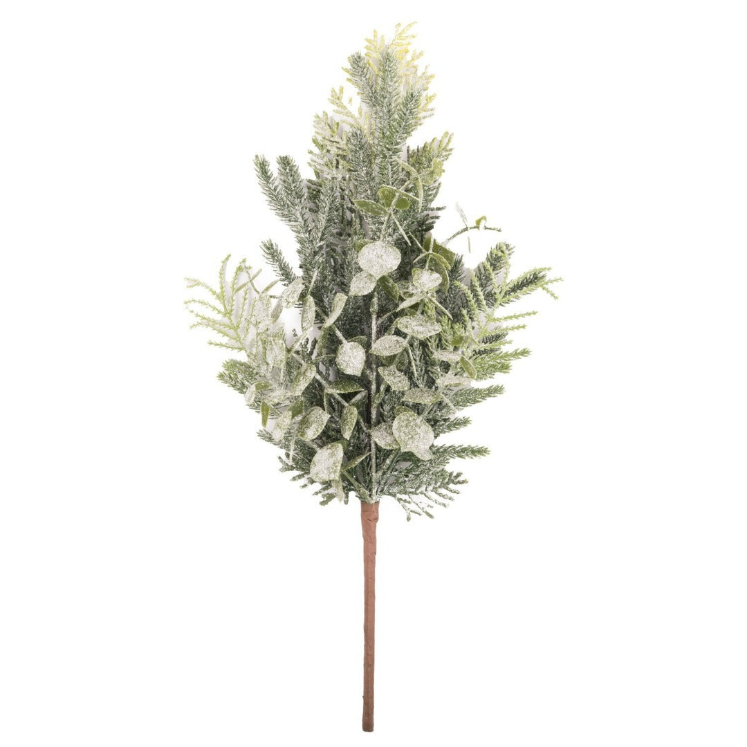 Frosted Eucalyptus and Fern Sprig | Taylors on the High Street
