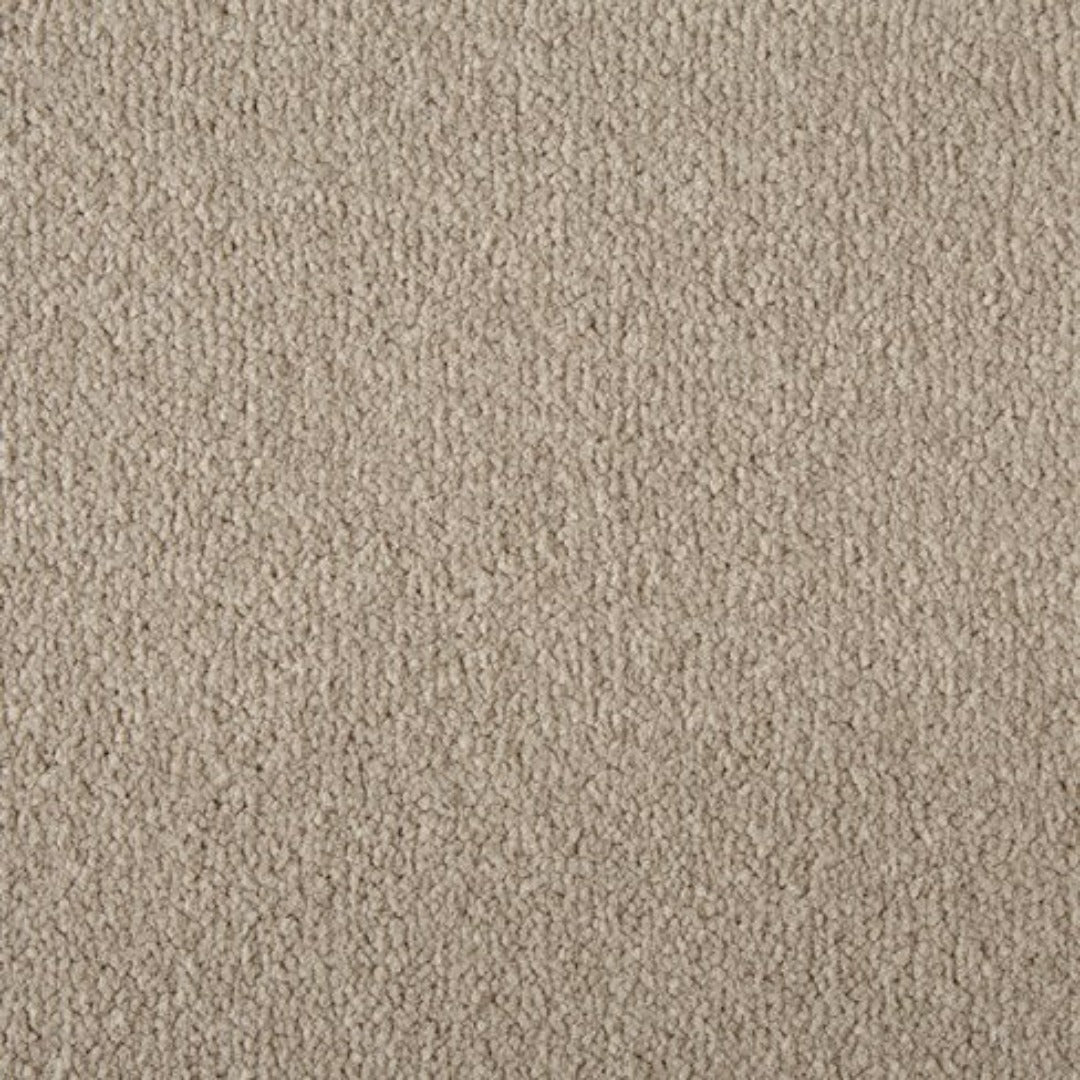 Cormar Carpets Primo Ultra Range | Taylors on the High Street
